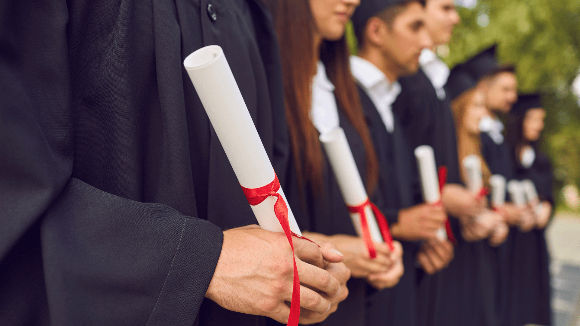 University admissions team using ELIE to manage international student recruitment processes